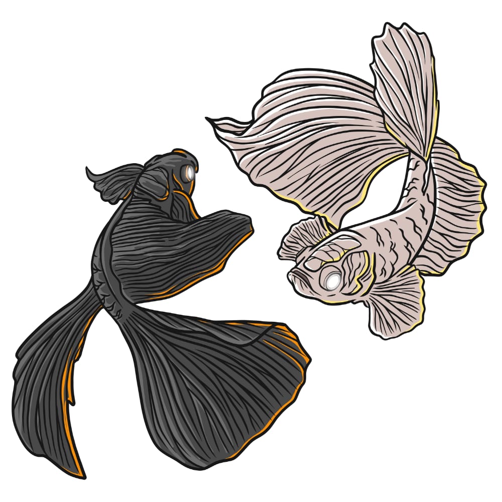 two koi fish an a yin yang pattern