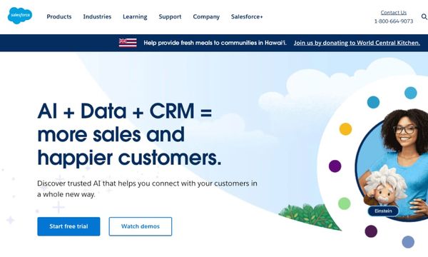 Helpmonks - no need for a CRM